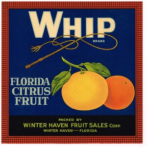 Original vintage Florida citrus crate label c1930s Whip Winter Haven quite scarce 9X9&quot; Citrus Fruit