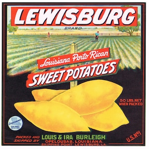 Original vintage yam crate label 1950s Lewisburg Louisiana Opelousas Sweet Potatoes Field