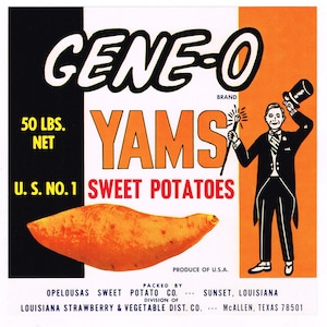 Original vintage Texas yam crate label 1960s Gene-O Magic Magician Top Hat Cane McAllen & Louisiana Opelousas Sunset