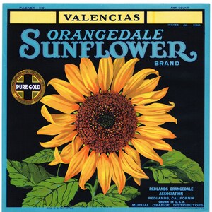 Original vintage orange citrus crate label 1930s Orangedale Sunflower Redlands California Valencias Quite Scarce Van Gough