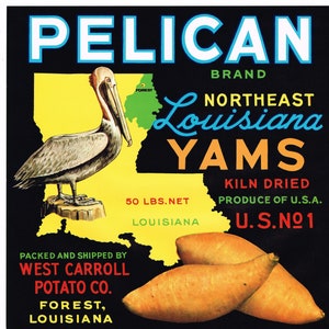 Original Vintage Yams-Kistenetikett 1950er Jahre Ungewöhnliche Größe & Fläche Pelican Brand Northeast Louisiana Map West Carroll Potato Company Forest