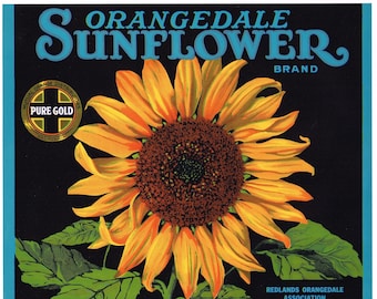 Original vintage orange citrus crate label 1935 Orangedale Sunflower Redlands California Trimmed Top 9.75x11&quot;