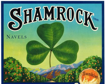 Original vintage citrus crate label 1930s Shamrock Placentia Navel California Orange County Luck of the Irish