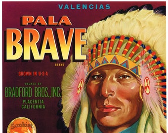Original vintage citrus crate label 1940s  Pala Brave Placentia American Indian Orange County California