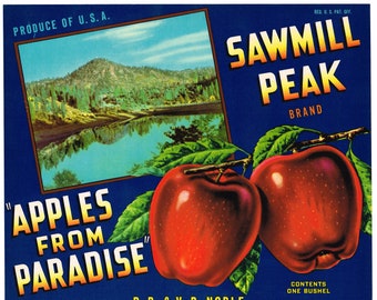 Original vintage apple crate label 1940s Paradise Mountain Sawmill Peak California