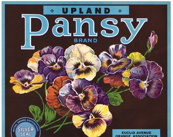 Peut inclure: Ancienne étiquette de caisse de fruits Upland Pansy Brand. L'étiquette présente un bouquet de pensées colorées dans des tons de violet, jaune et orange sur un fond brun foncé. Le texte comprend "Upland Pansy Brand" et "Silver Seal".