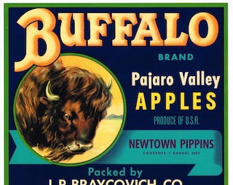 Original vintage apple crate label 1930s Buffalo Bison Pajaro Valley Santa Cruz County Watsonville Beautiful