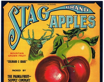 Original vintage apple crate label 1920s Stag Buck Deer Paonia Colorado Scarce Paonia Fruit & Supply Company