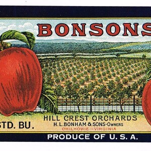 Super Tiny! Original vintage apple Crate Label c1920s Chilhowie Virginia Bonsons Hill Crest Orchards Landscape Scene 4.5x2.5&quot;