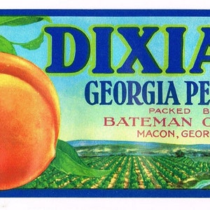 Original vintage peach Crate Label c1950s Dixiana Macon Georgia 7.5x2.5&quot; Small Size Bateman