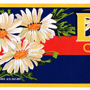 Original vintage grape crate label 1960s Daisy Barr Packing Sanger California Floral