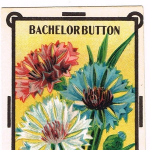 May include: Vintage seed packet featuring a colourful illustration of Bachelor Button flowers in pink, blue, and white. The packet is labelled "Bachelor Button" and "Burt's Seed Quality".