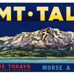 Original vintage grape crate label 1930s Rare Lake Tahoe Mt. Tallac Lodi Morse & Skinner