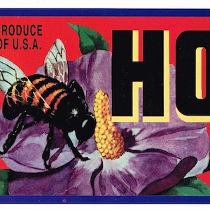 Original Vintage Traubenkiste Label 1970er Jahre Honigbiene Rare Hummel High Contrast Hive Reedley California Version #2