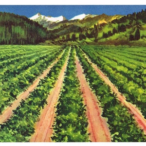 Original Vintage Traubenkiste Label 1950er Jahre Montana Sequoia Woodlake Tulare County California Landschaft