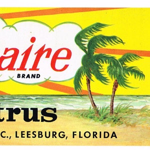 Original vintage Florida citrus crate strip label c1940s Southernaire Leesburg Beach Scene