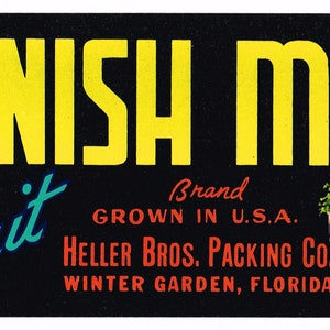 Original vintage Florida citrus crate label c1940s Spanish Moss Winter Garden 3x8&quot;