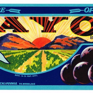 Original vintage grape crate label 1950s Rayo Sunset Tulare County Ribier Grapes