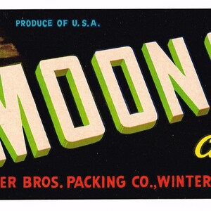 Original vintage Florida citrus crate label c1940s Moon Glo Full Moon Everglades Winter Garden 3.25x8&quot;