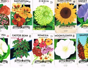 Original Lot 10 Different Vintage Lithographed Seed Packets Nos C1930s 1950s General Store Flowers Garden San Antonio Texas Lone Star 2 Collectibles Art Collectibles Efp Osteology Org Original Lot 10 Different Vintage Lithographed Seed Packets Nos C1930s 1950s General Store Flowers Garden San Antonio Texas Lone Star 2 Collectibles Art Collectibles Efp Osteology Org
