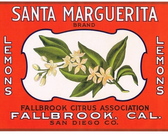 Chula Vista San Diego County Silver Lining Lemon Citrus Fruit Crate Label Print