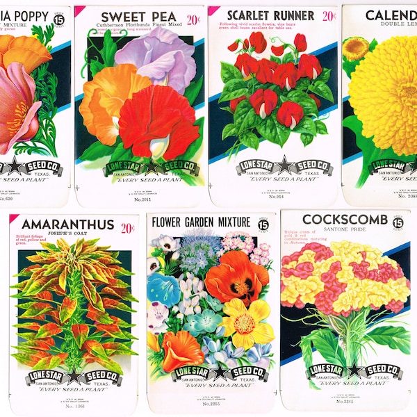 Original lot 7 different vintage lithographed seed packets packs NOS c1940 General Store Flowers Garden San Antonio Texas Lone Star