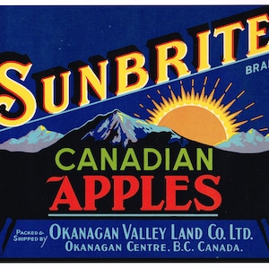 Original vintage apple crate label 1950s Scarce Sunbrite Okanagan Valley Center British Columbia Canada Canadian Rising Sun