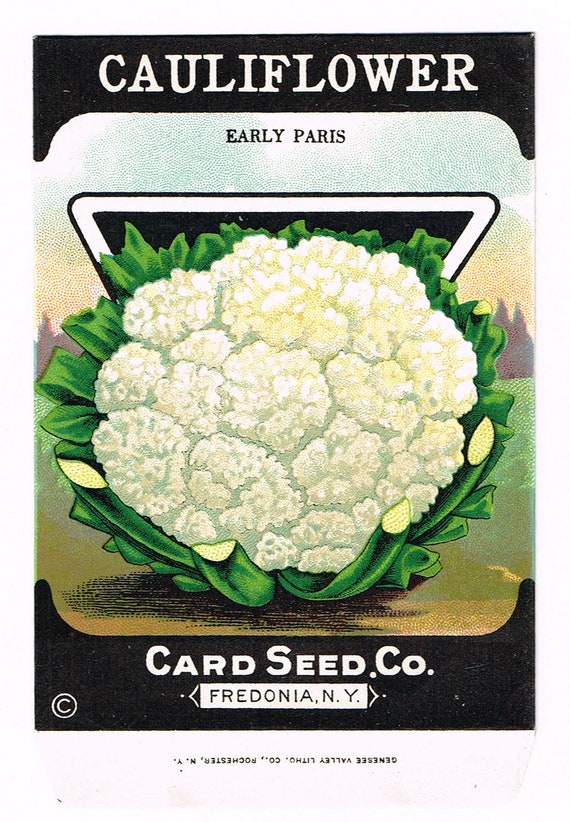 Vintage Broccoli Seed Packet Posters