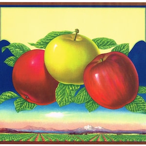 Original vintage crate label 1930s Stock design for craft projects scrapbooking invitations Apples Kitchen Landscape