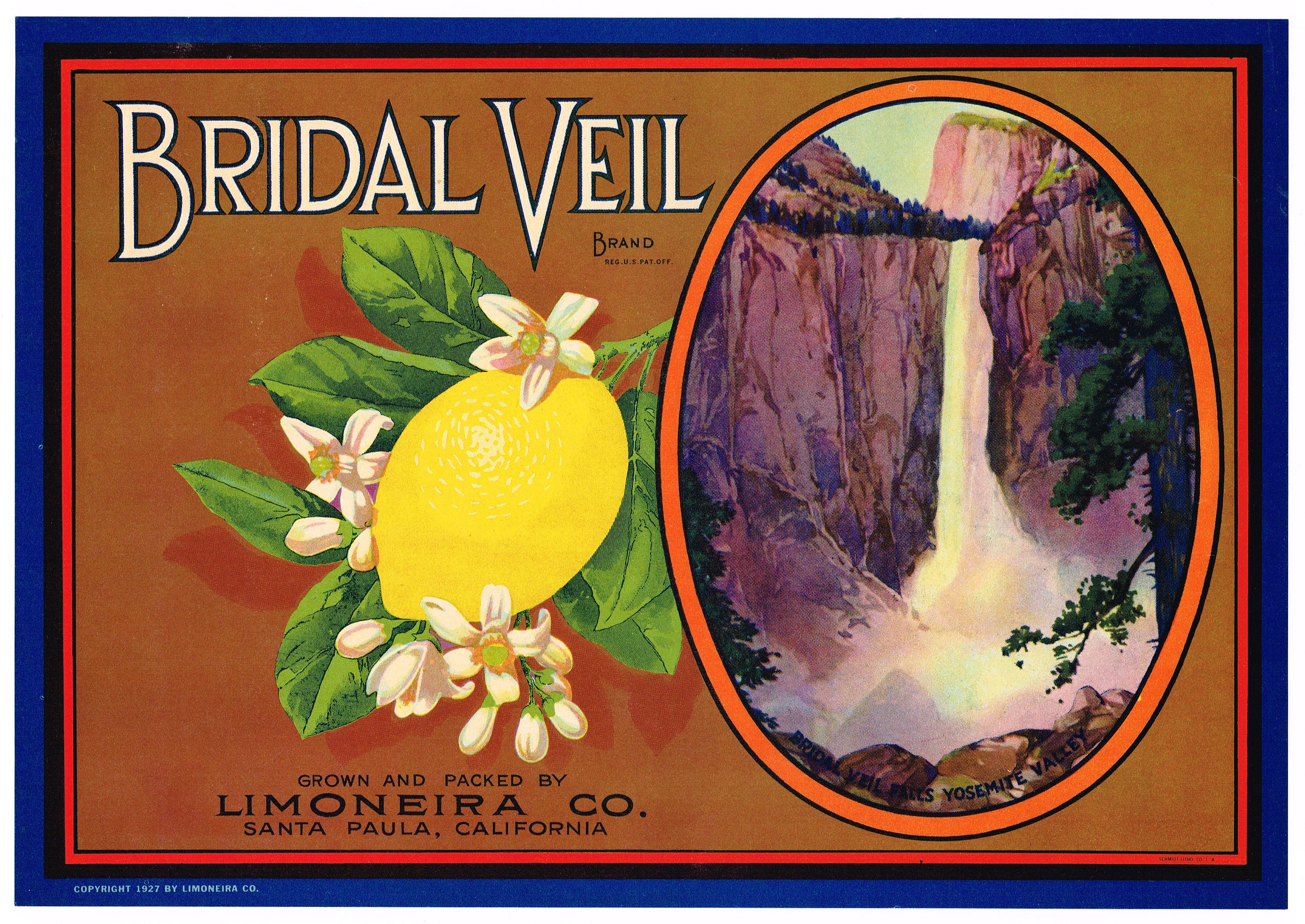 Original Vintage Citrus Crate Label 1930s Limoneira Company Santa