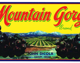Puede incluir: Etiqueta vintage para uvas de la marca Mountain Gorge, con fondo amarillo, logotipo rojo y verde, un paisaje pintoresco y racimos de uvas negras. El texto de la etiqueta dice "Mountain Gorge Brand", "Peso neto mínimo 36 lb. Empacado", y "John Dicola Expedidor - Oakley, Fresno, Calif."