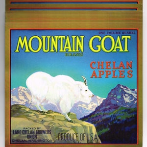 x25 Wholesale Original vintage apple crate label 1940s Mountain Goat Lake Chelan Washington State