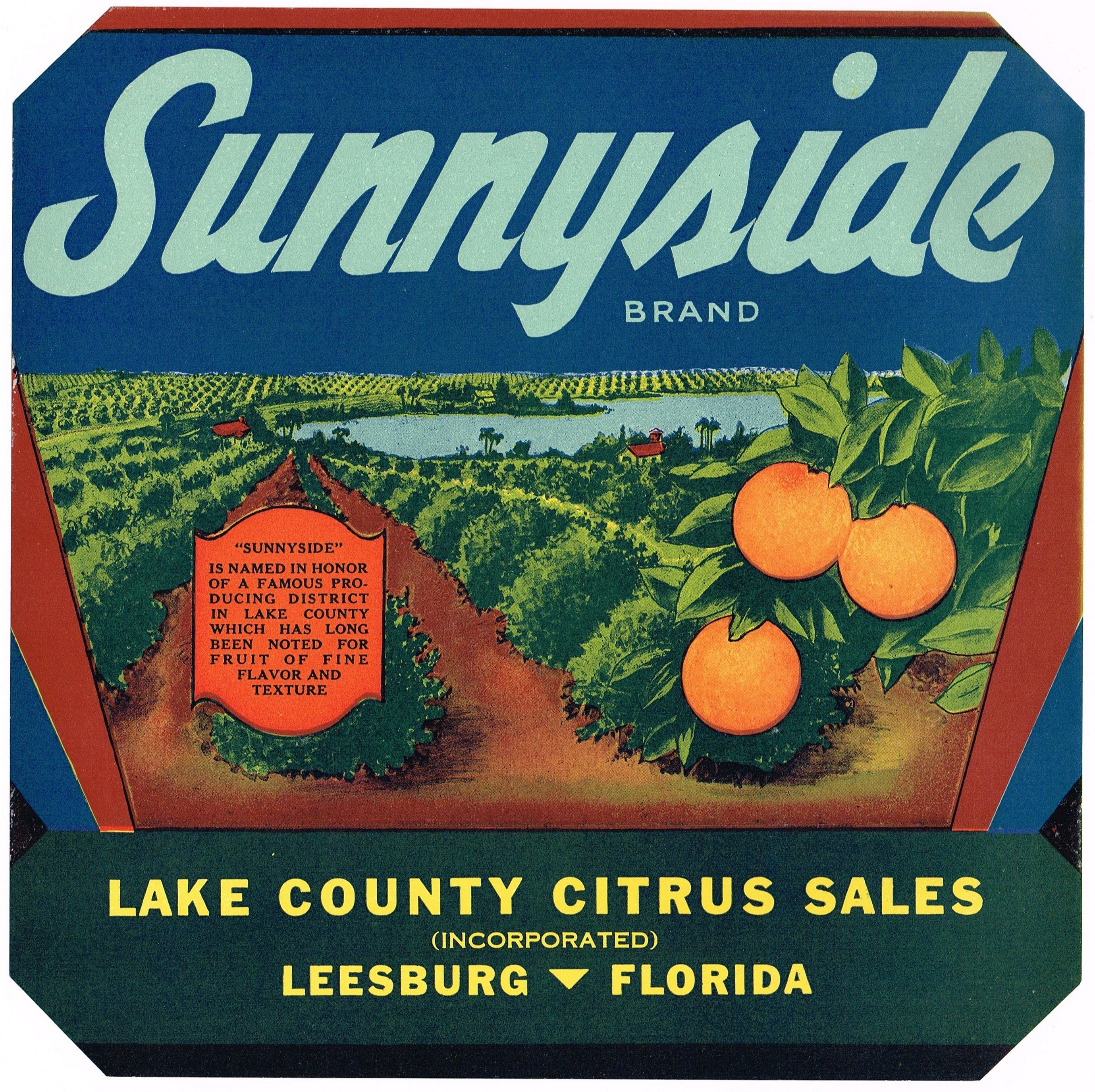 Beach lake groveland carter fruit co. original florida orange crate label 