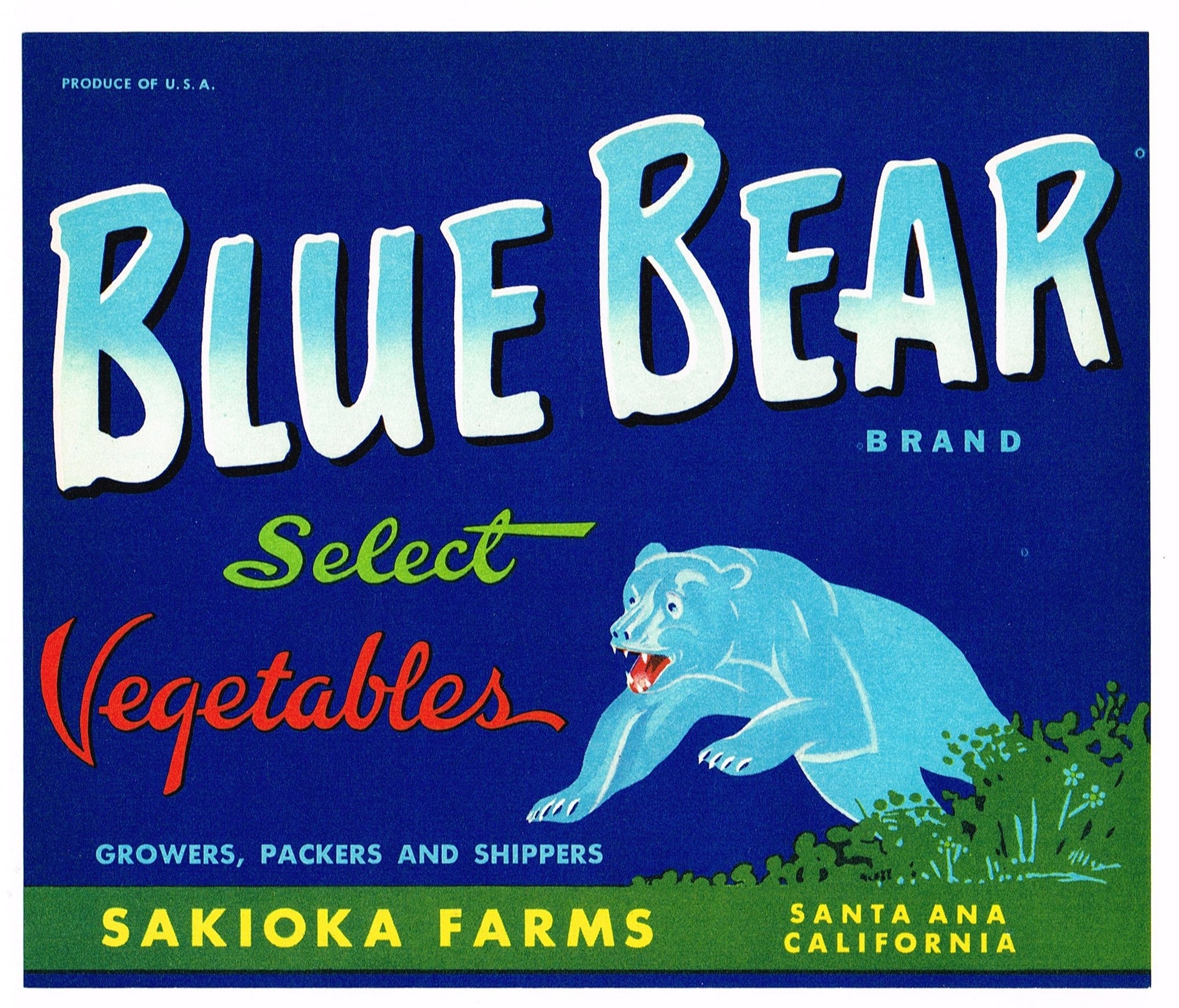 オリジナル ヴィンテージ 野菜木箱ラベル 1960 年代 ブルーベア