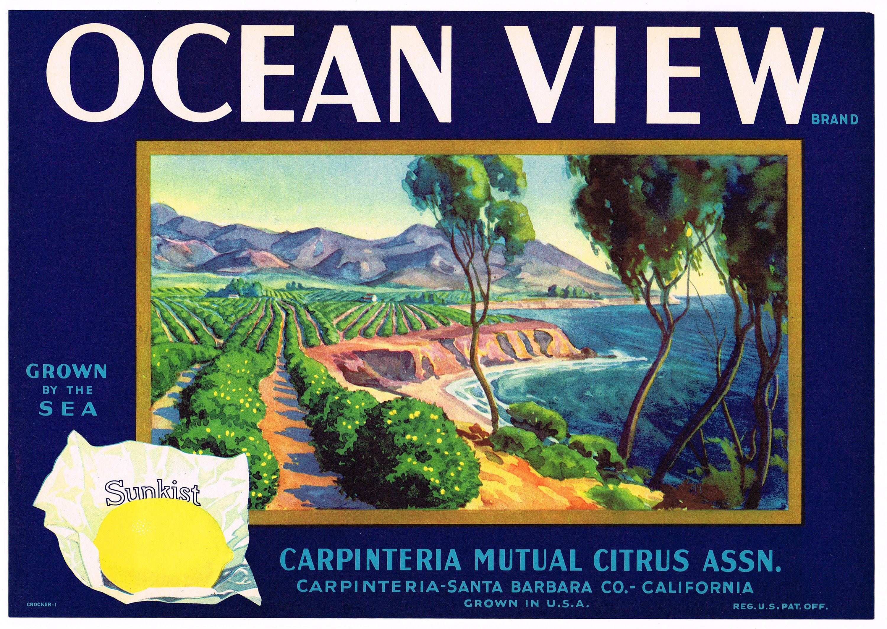 Original Lemon Crate Label Santa Barbara County California 1930s