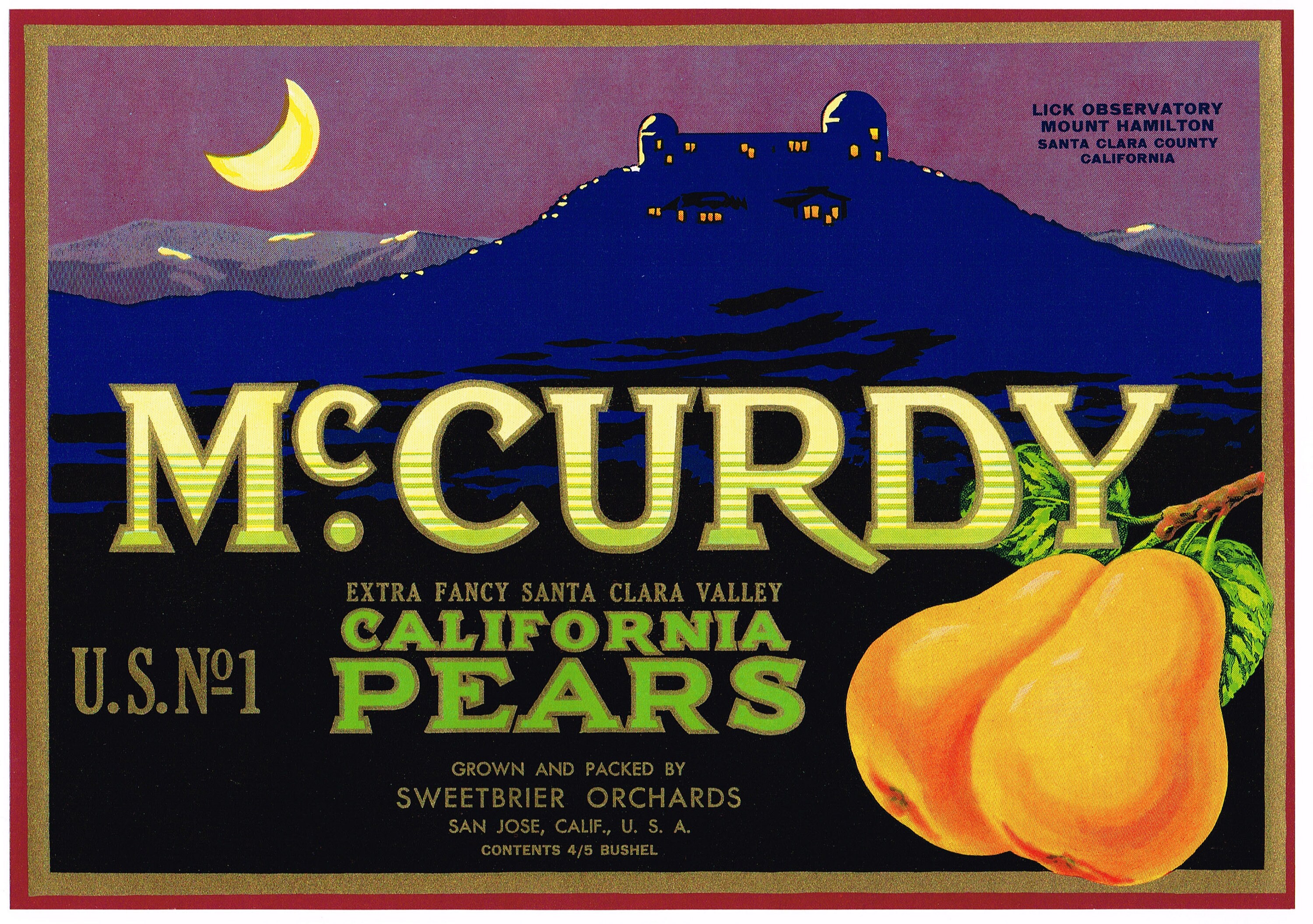 ORIGINAL CRATE LABEL 1950S MID CENTURY SUN IDOL VINTAGE GRAPHIC SUNBURST ORANGE