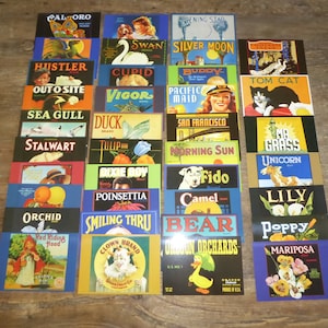 37 lot différent Nos Deadstock Crate Label Cartes postales Publicité Nice Qualité années 1980