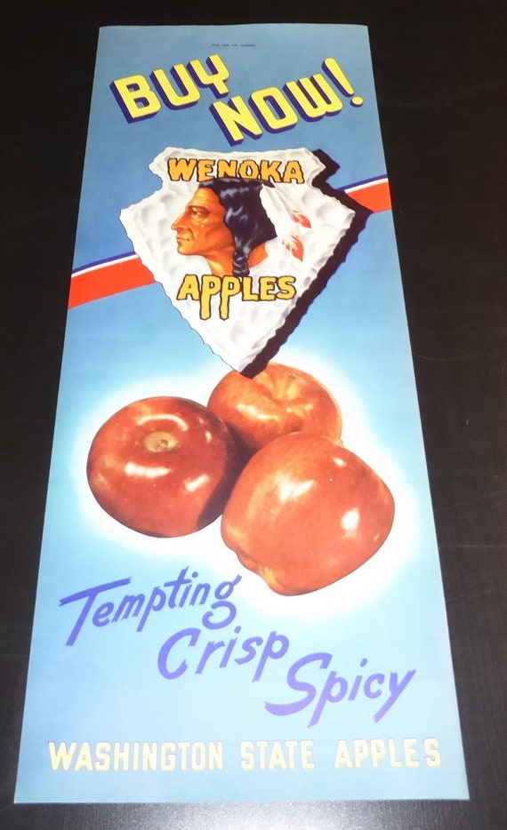 Original Vintage Fruit Apple Advertising Sign Paper C1950