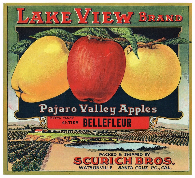 Original Vintage Apple Crate Label 1920s Lake View Brand Pajaro Valley ...