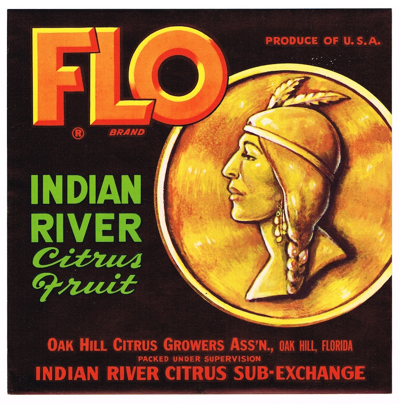 Original vintage Florida citrus crate label c1940s Flo Oak Hill American Indian Girl