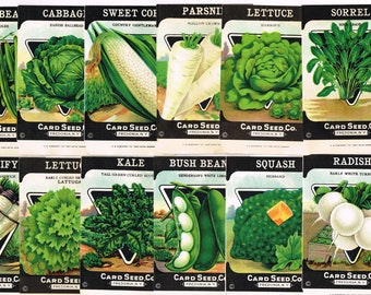 Puede incluir: Paquetes de semillas vintage para diversas verduras, incluyendo judías verdes, col, maíz dulce, chirivías, lechuga, acedera, salsifí, col rizada, calabaza y rábanos. Cada paquete presenta una ilustración colorida de la verdura y el nombre de la variedad. Los paquetes son todos de la Card Seed Co. en Fredonia, NY.