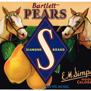 Original vintage pear crate label 1940s Diamond S Brand Two Horses Equestrian Hood California