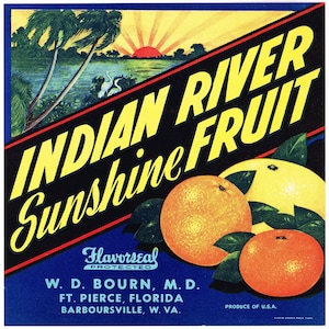 Originales Vintage-Etikett einer Zitruskiste aus Florida, ca. 1930er Jahre, Indian River Sunshine Fruits, Barboursville, 8x8 Zoll, selten, West Virginia