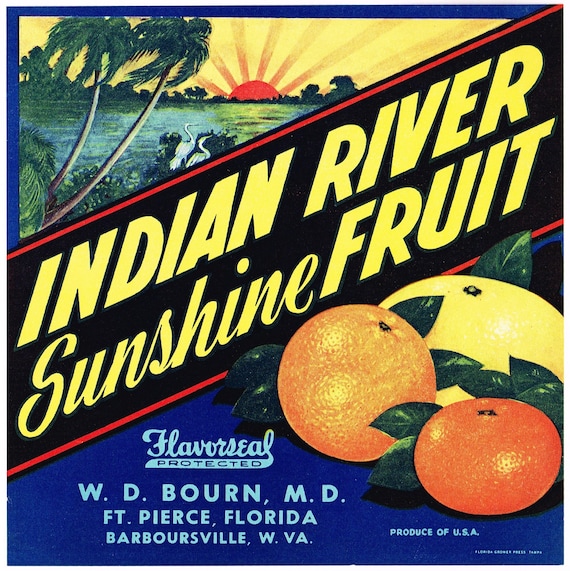 Original Vintage Florida Citrus Crate Label C1930s Indian River