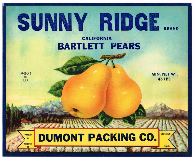 Original Vintage Pear Crate Label 1950s Sunny Ridge Stockton California ...