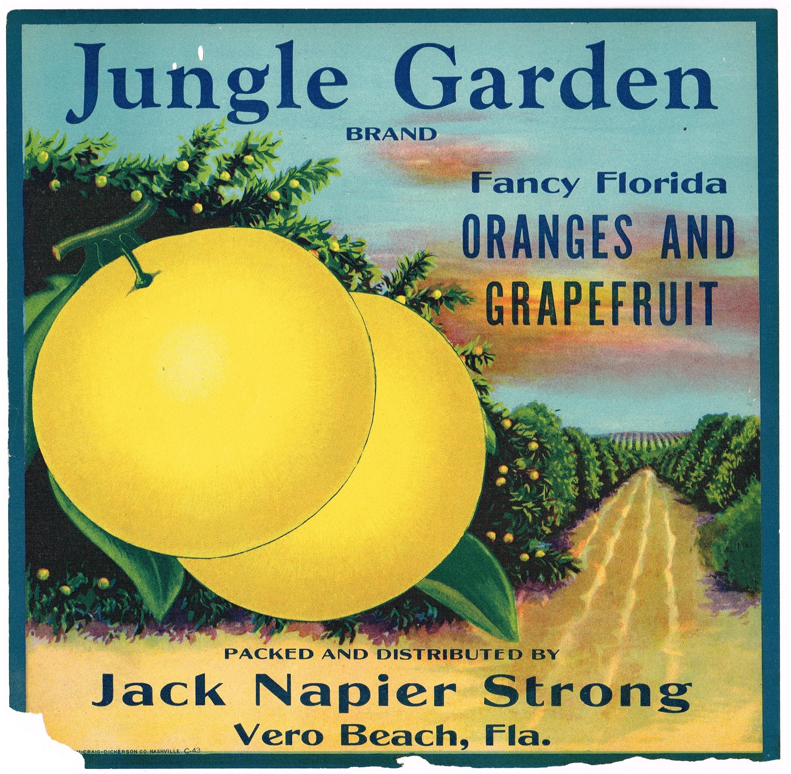 Original Vintage Florida Citrus Crate Label C1930s American Indian