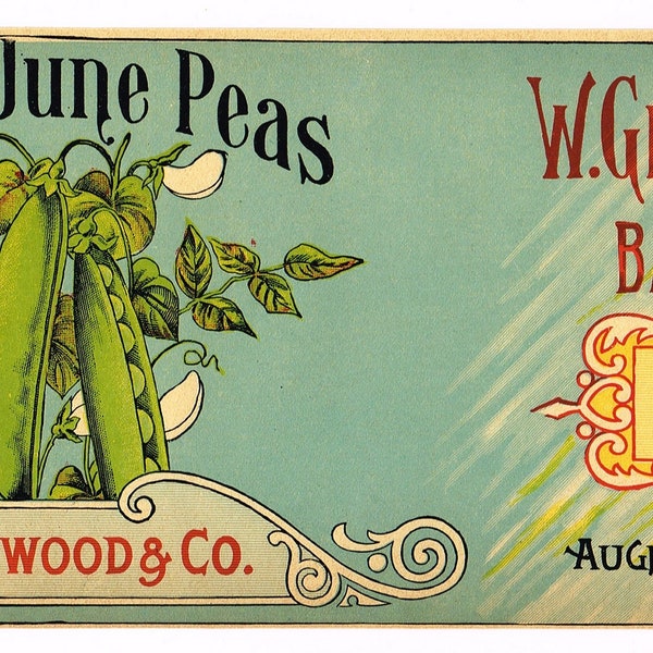 Original vintage Tin Can label C1900 W. Greenwood & Company Brand Aughinbaugh Canning Baltimore Maryland Rare June Peas