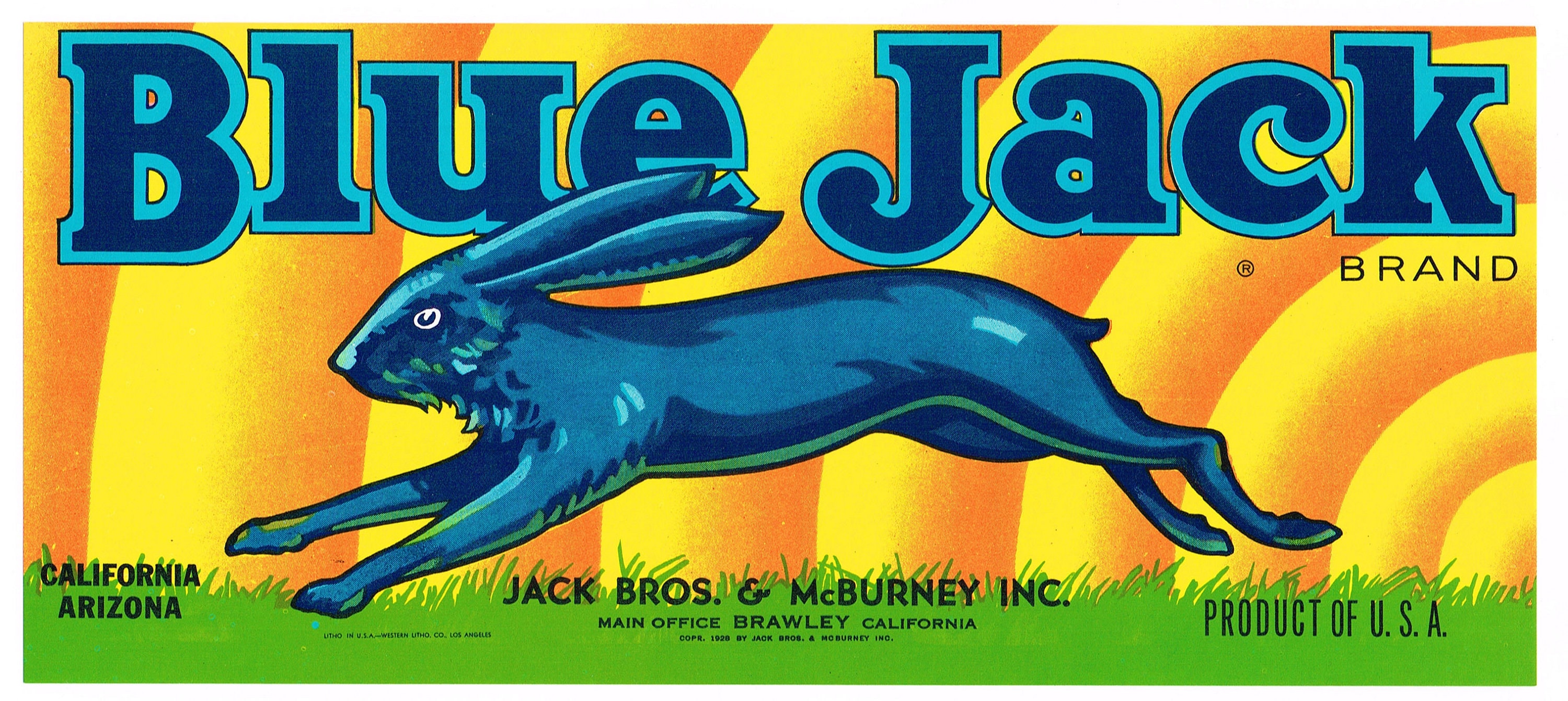 Original Vintage Melon Crate Label 1940s Blue Jack Rabbit Hare