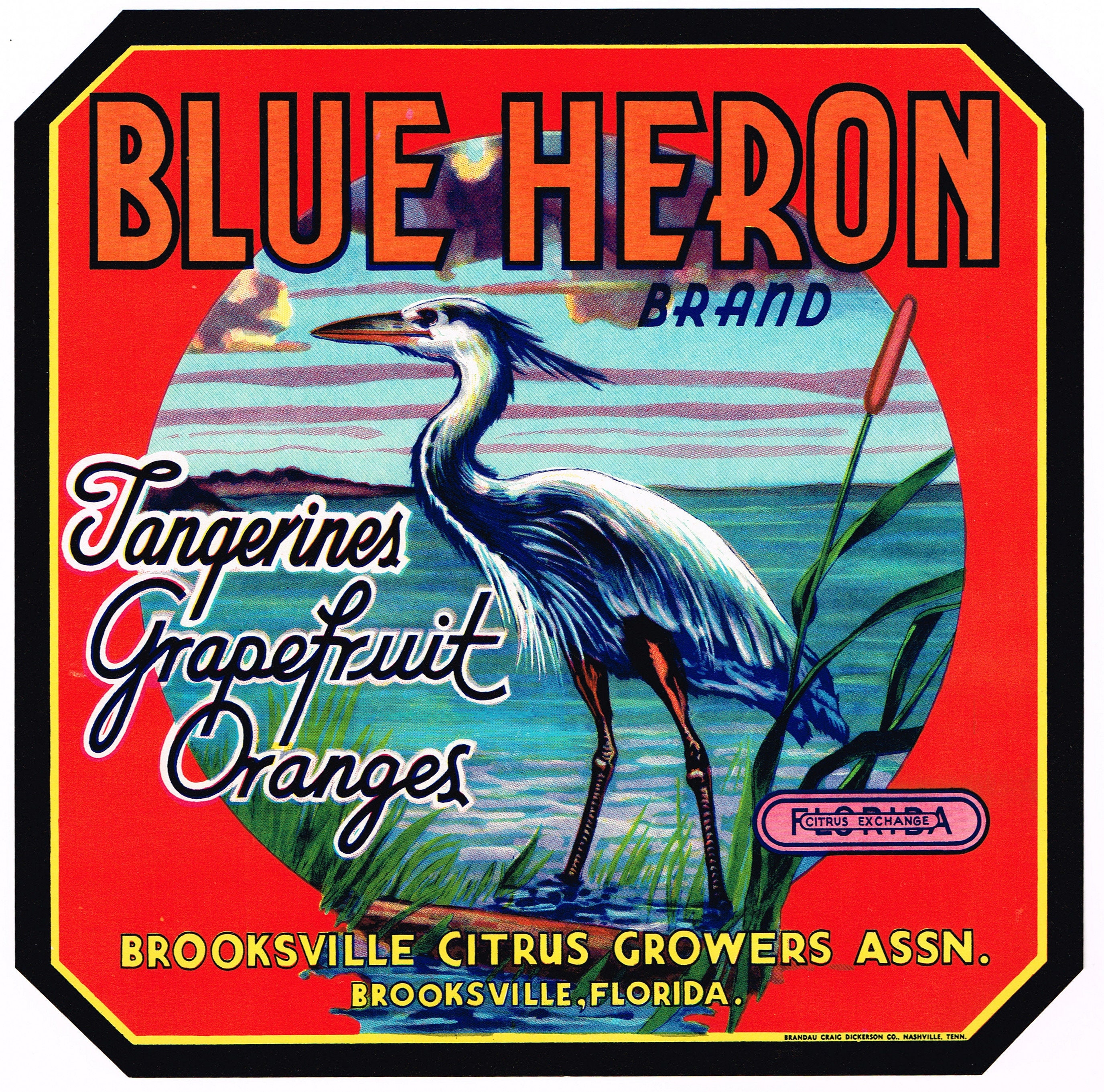 vintage original FLORIDA ORANGE BIRD Vintage Florida Orange Bird