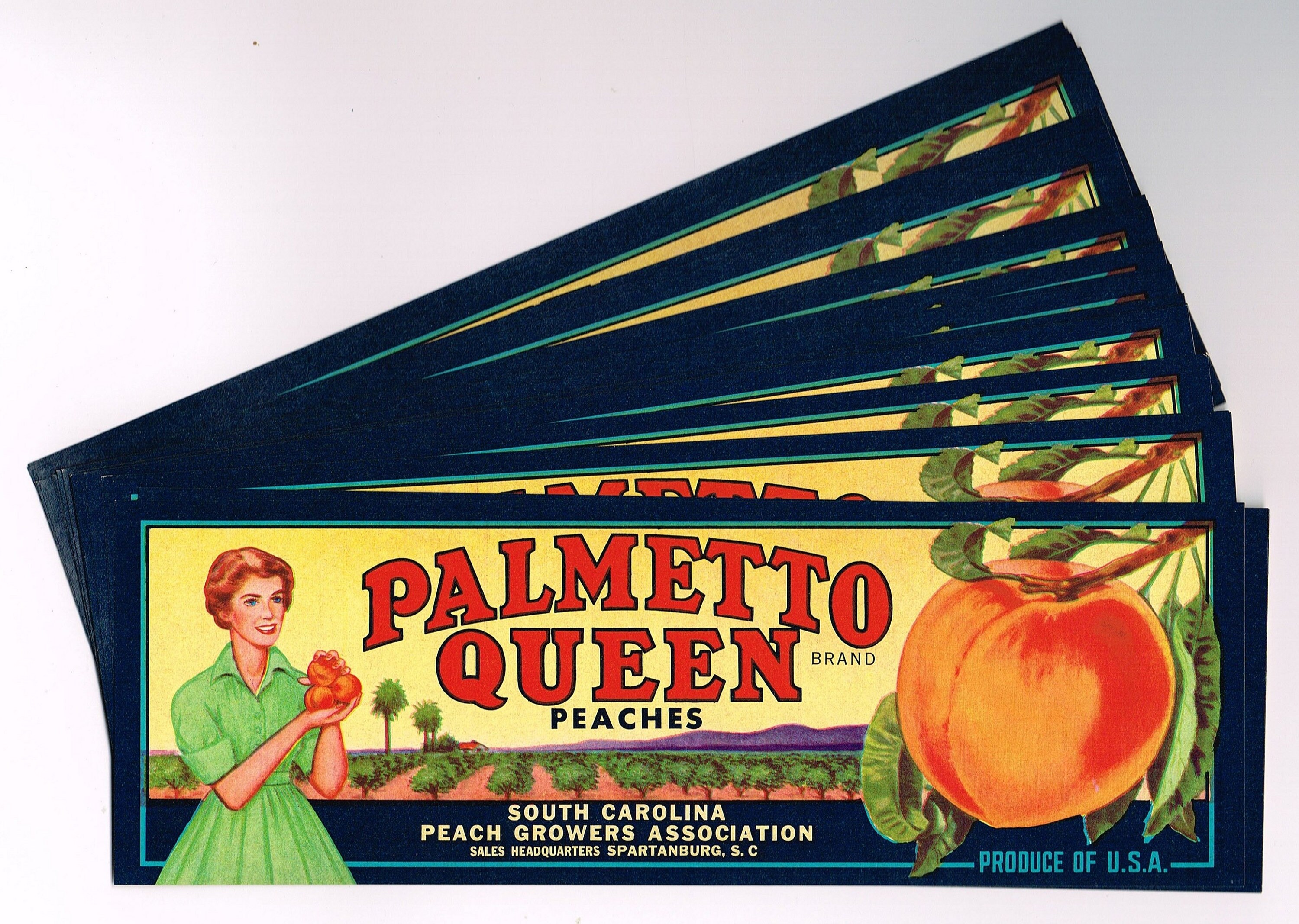 X25 Wholesale Original Vintage Peach Crate Label 1950s Palmetto